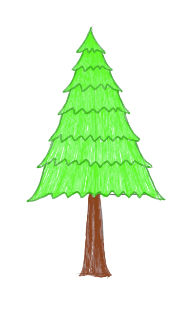 pine-tree